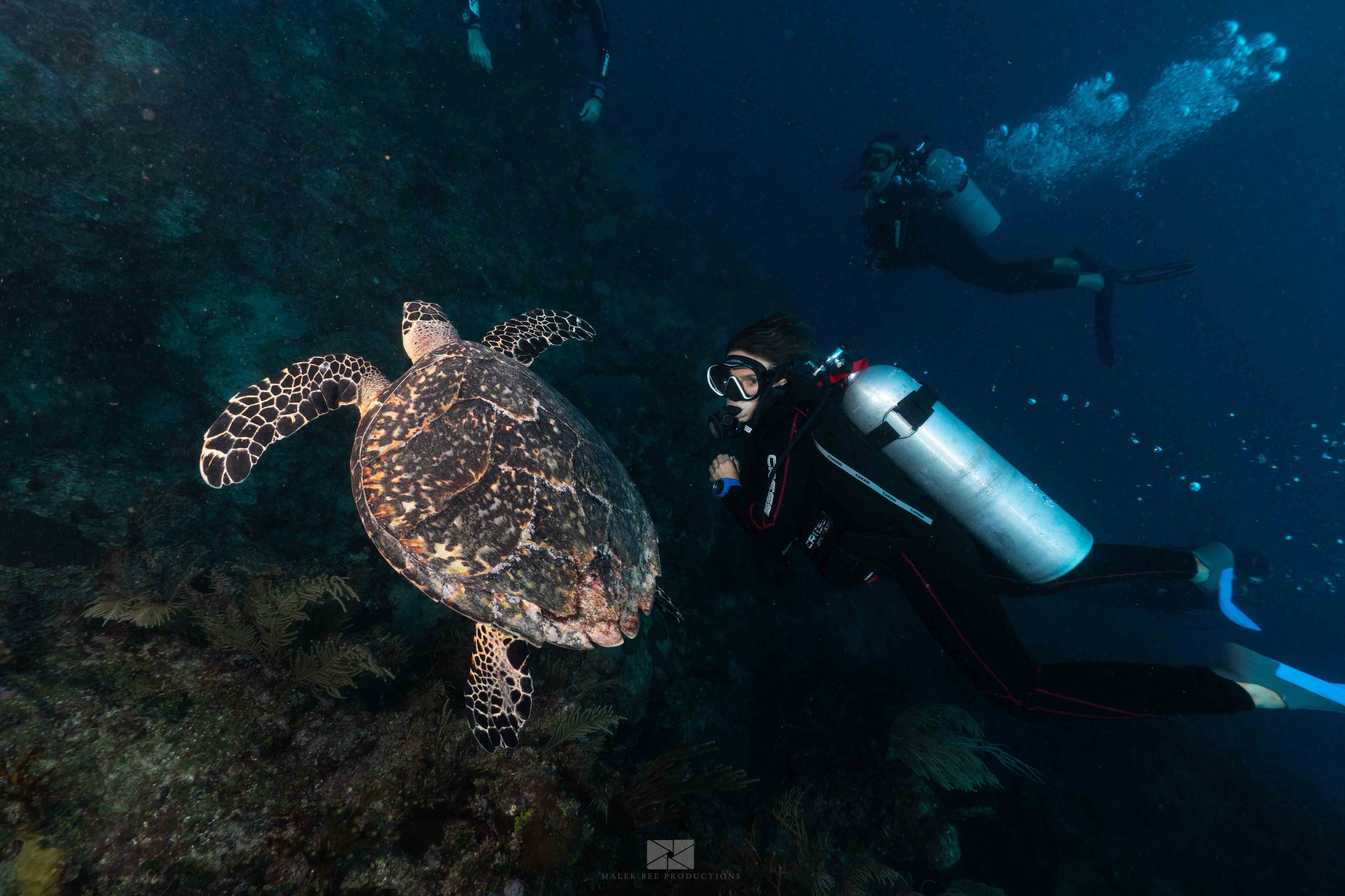 PADI ADVANCE OPEN WATER