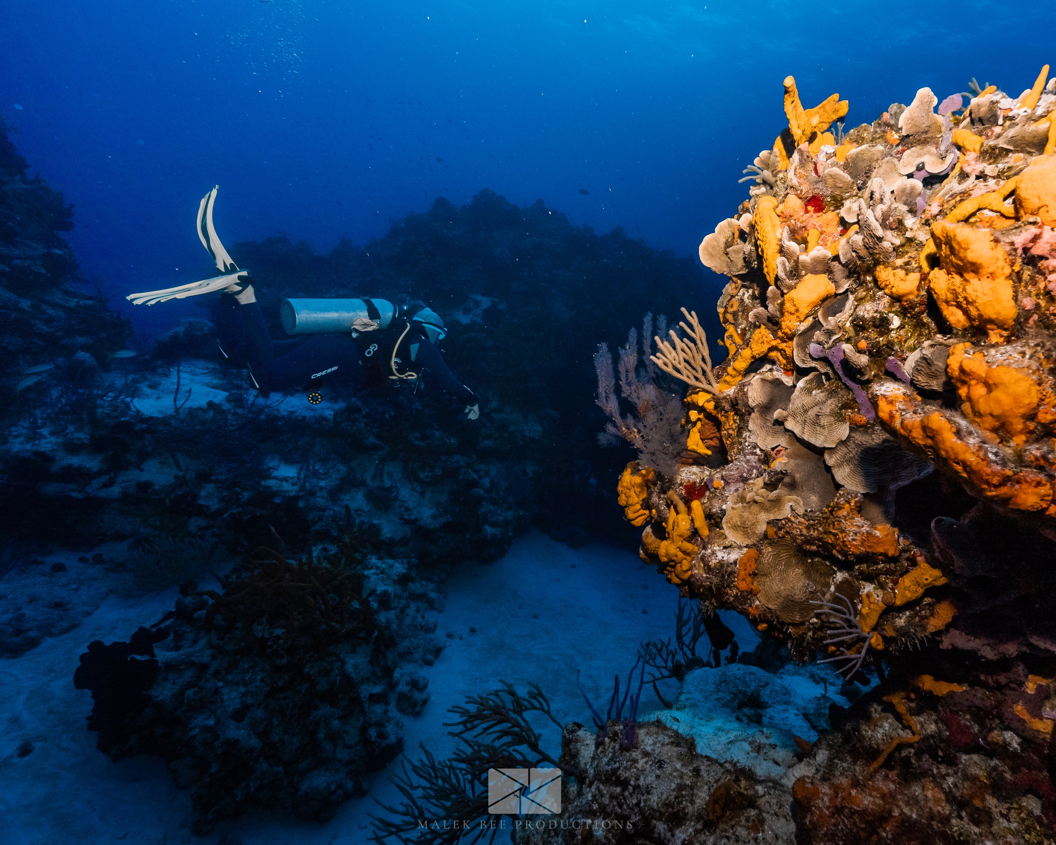 PLONGÉE À COZUMEL - 2 TANK