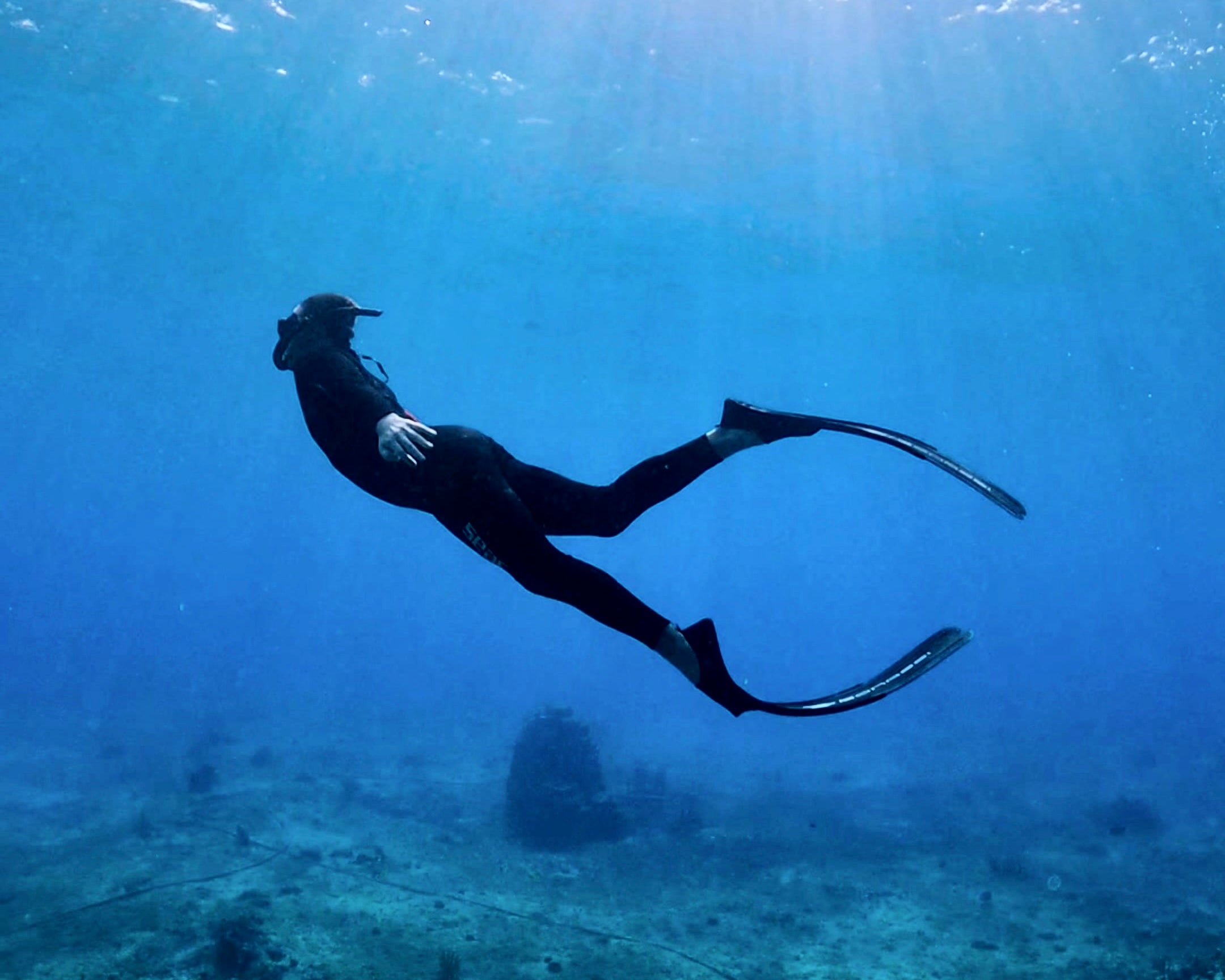 FREEDIVING EXPERIENCE